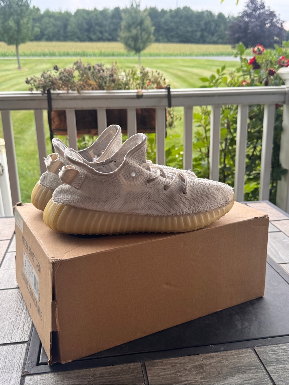 Adidas Yeezy Boost 350 V2
